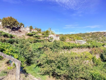 Terreno para Venda em Grilo
