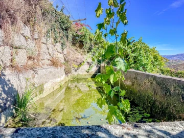 Terreno para Venda em Grilo