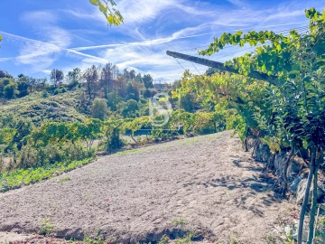 Terreno para Venda em Grilo