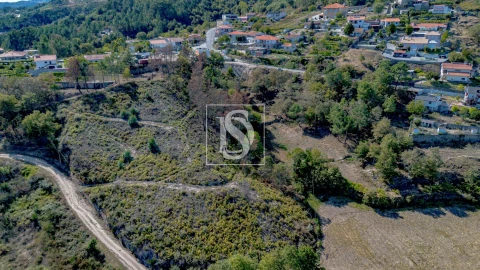 Terreno para Venda em Grilo