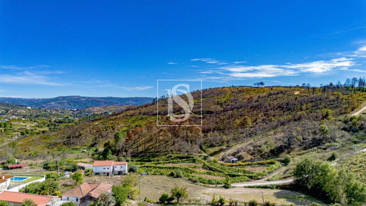 Terreno para Venda em Grilo Foto 17