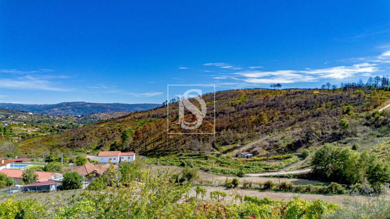 Terreno para Venda em Grilo Foto 23