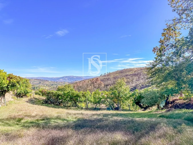 Terreno para Venda em Grilo Foto 15