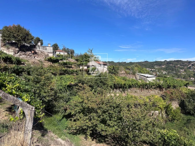 Terreno para Venda em Grilo Foto 3