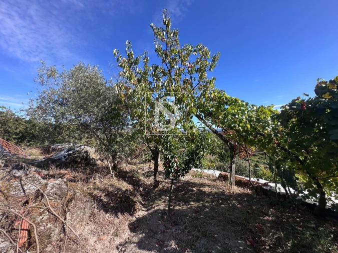 Terreno para Venda em Grilo Foto 40