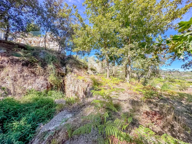 Terreno para Venda em Grilo Foto 41