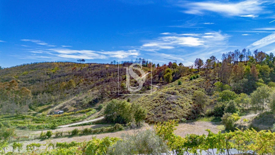 Terreno para Venda em Grilo Foto 25