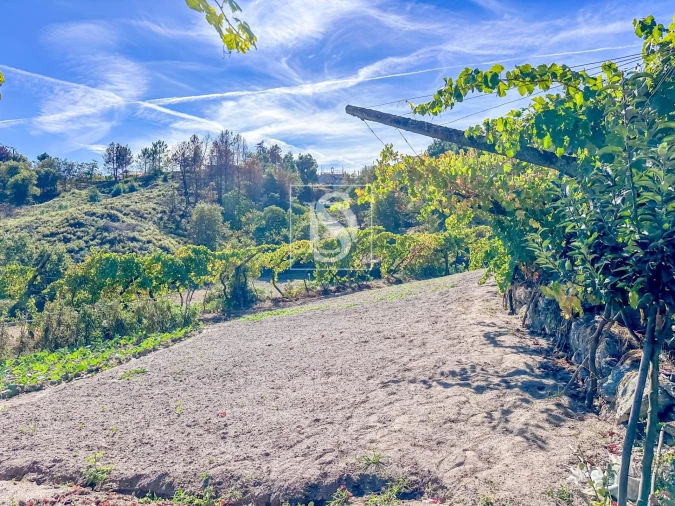 Terreno para Venda em Grilo Foto 22