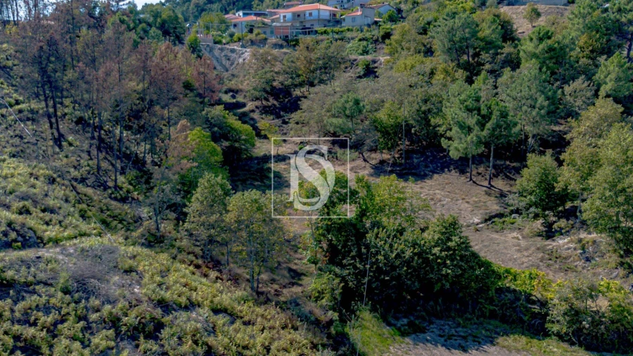 Terreno para Venda em Grilo Foto 28