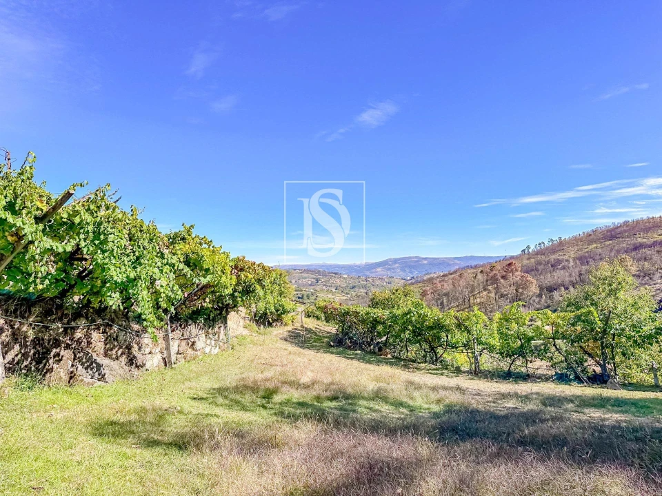 Terreno para Venda em Grilo Foto 5