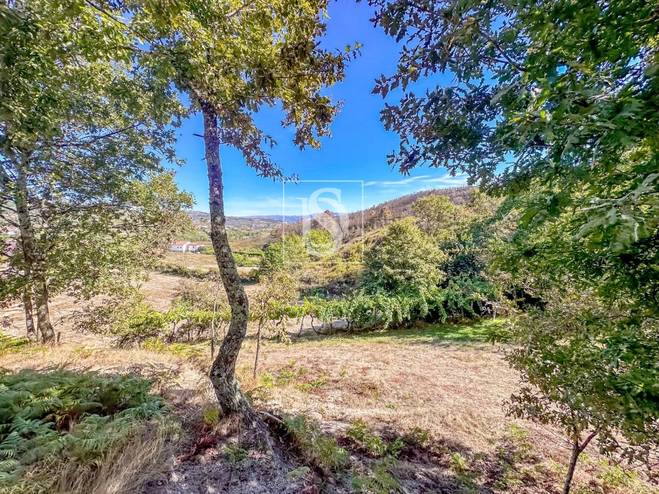 Terreno para Venda em Grilo Foto 14