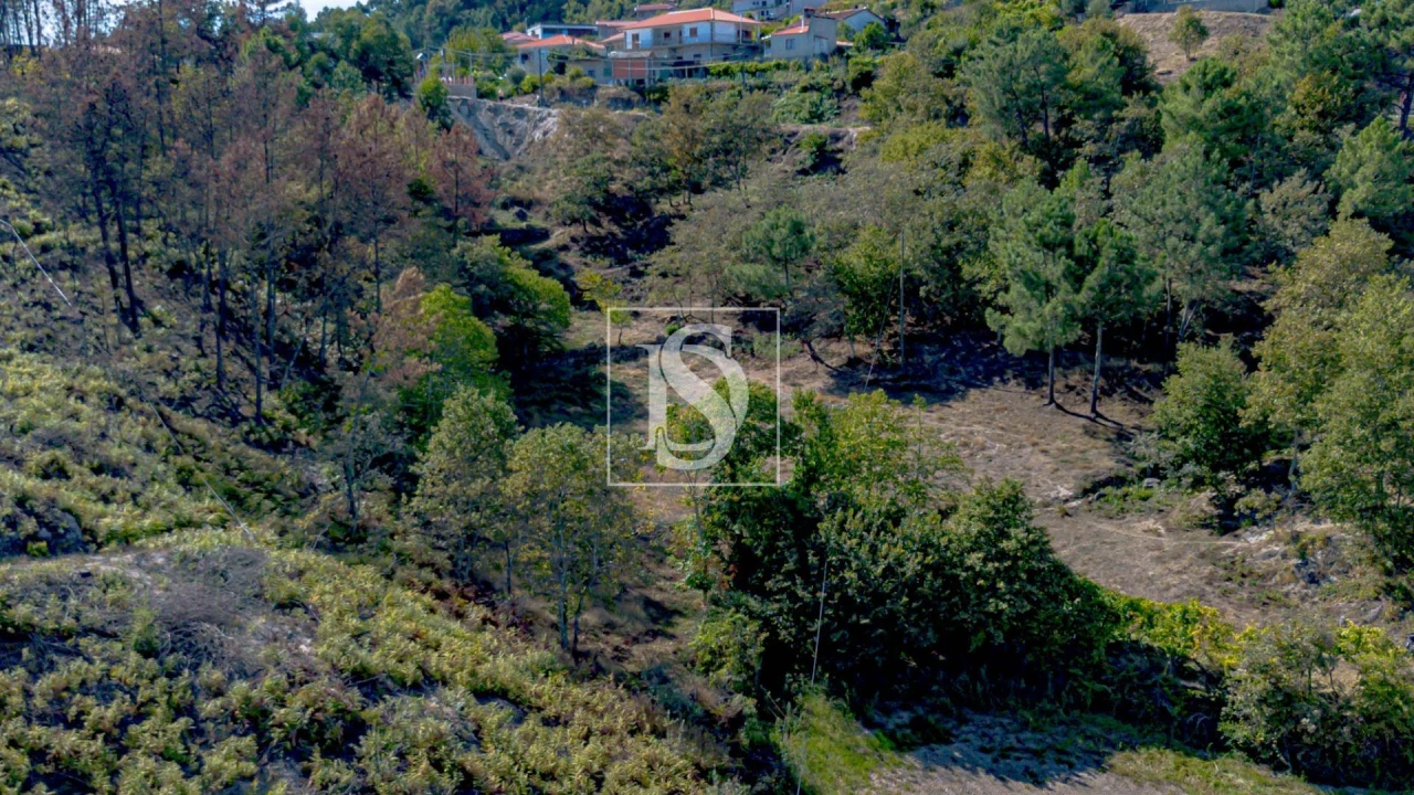 Terreno para Venda em Grilo Foto 28