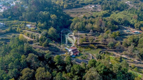 Quinta T4 para Venda em Santa Cruz do Douro e São Tomé de Covelas