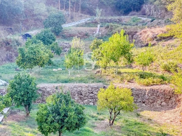 Quinta T4 para Venda em Santa Cruz do Douro e São Tomé de Covelas