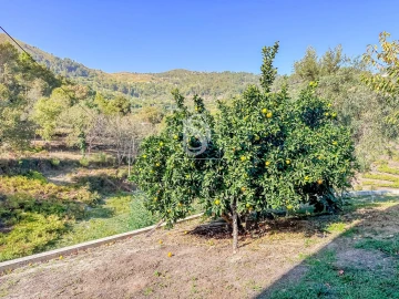 Quinta T4 para Venda em Santa Cruz do Douro e São Tomé de Covelas
