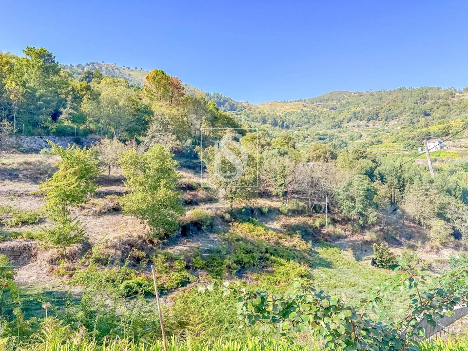 Quinta T4 para Venda em Santa Cruz do Douro e São Tomé de Covelas Foto 47
