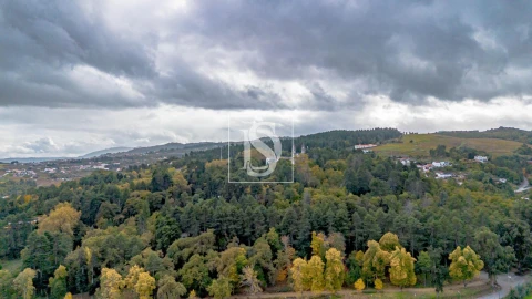 Apartamento T3 para Venda em Avões