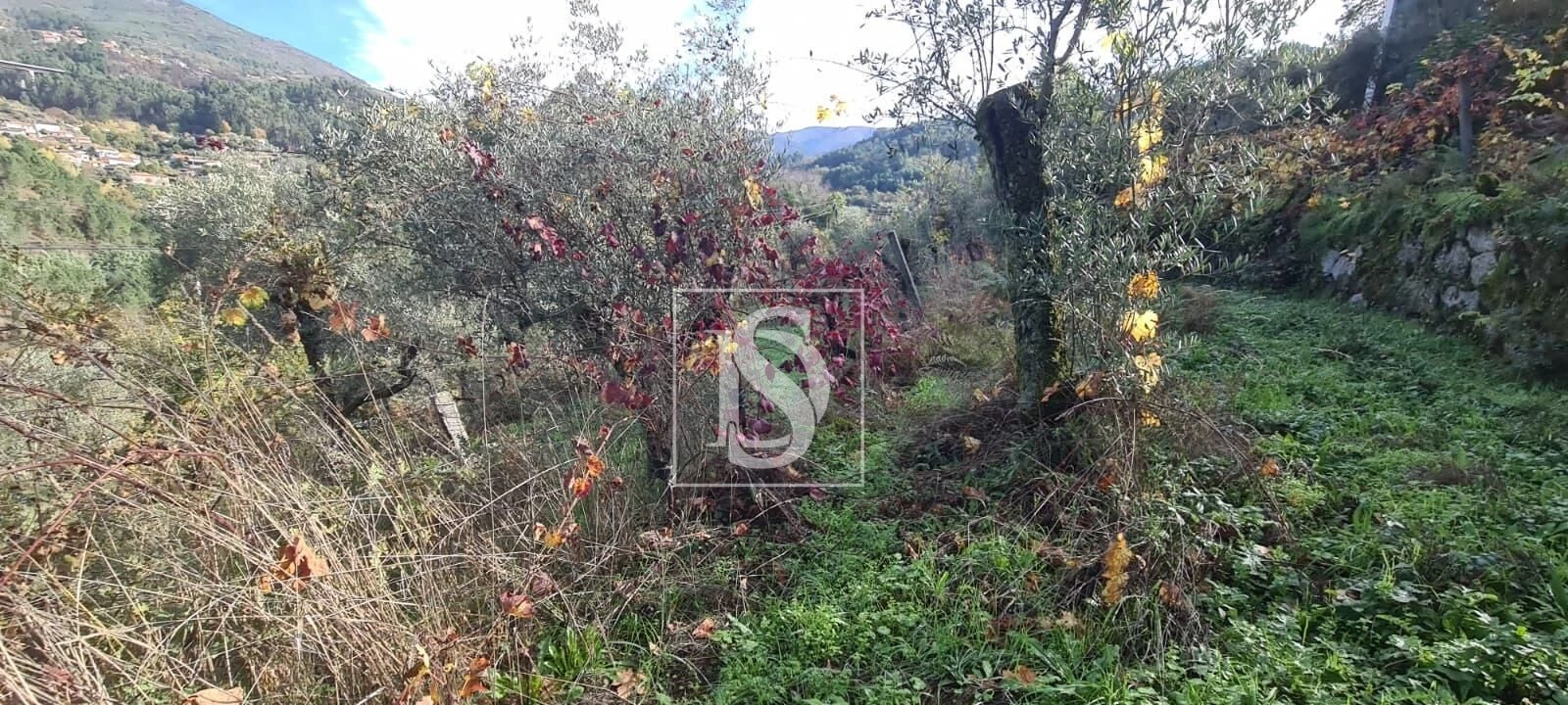 Terreno para Venda em Candemil Foto 16