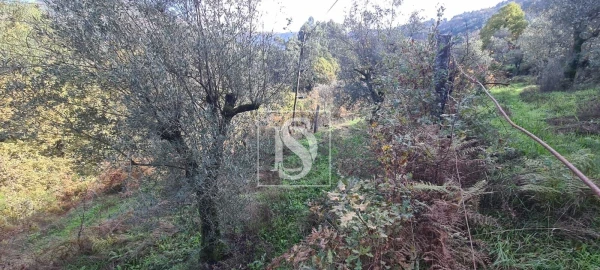 Terreno para Venda em Candemil