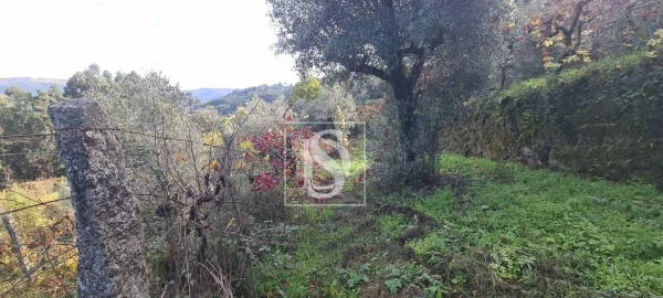 Terreno para Venda em Candemil