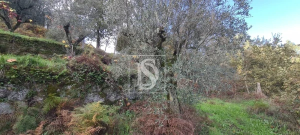 Terreno para Venda em Candemil