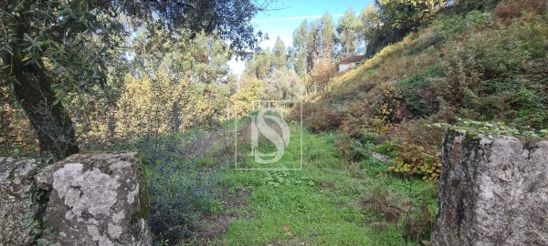 Terreno para Venda em Candemil