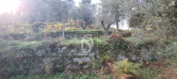 Terreno para Venda em Candemil