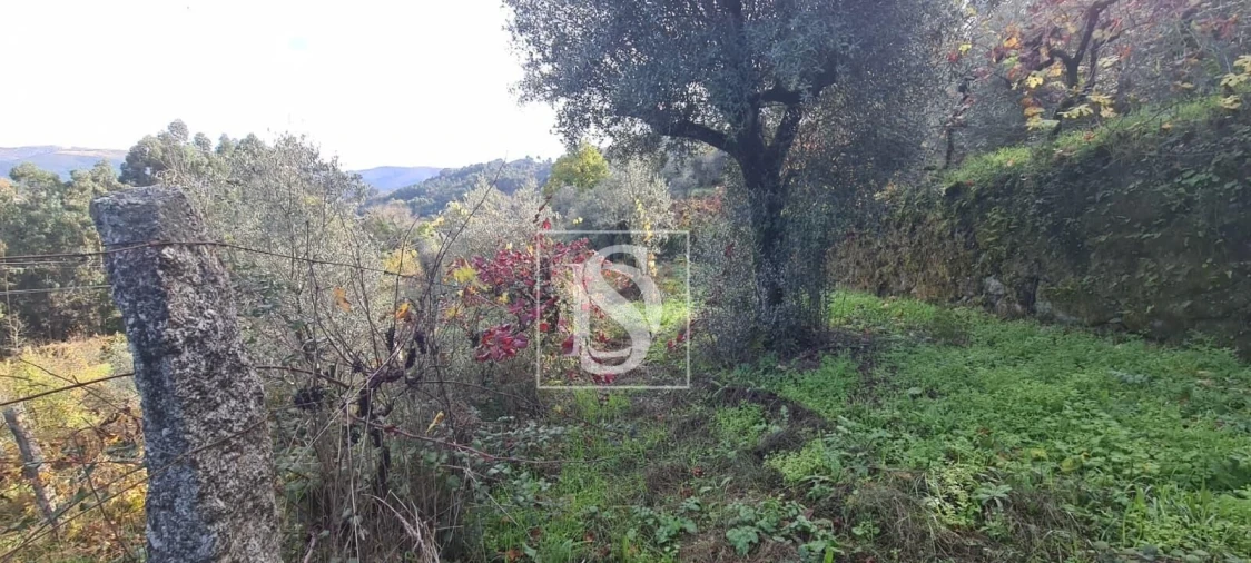 Terreno para Venda em Candemil Foto 6