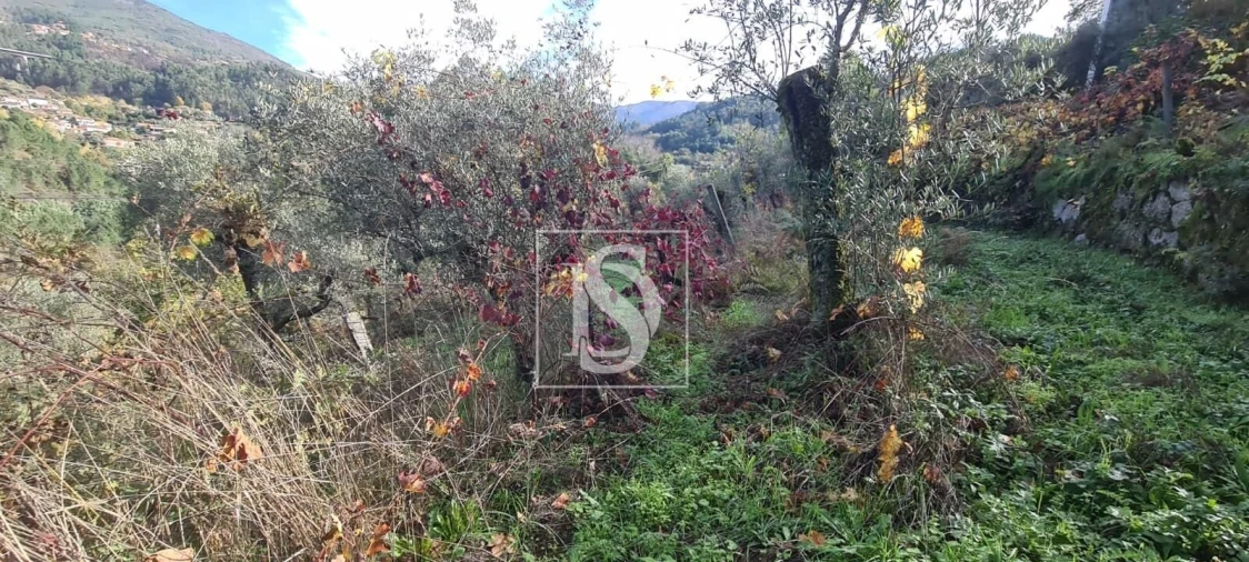 Terreno para Venda em Candemil Foto 16