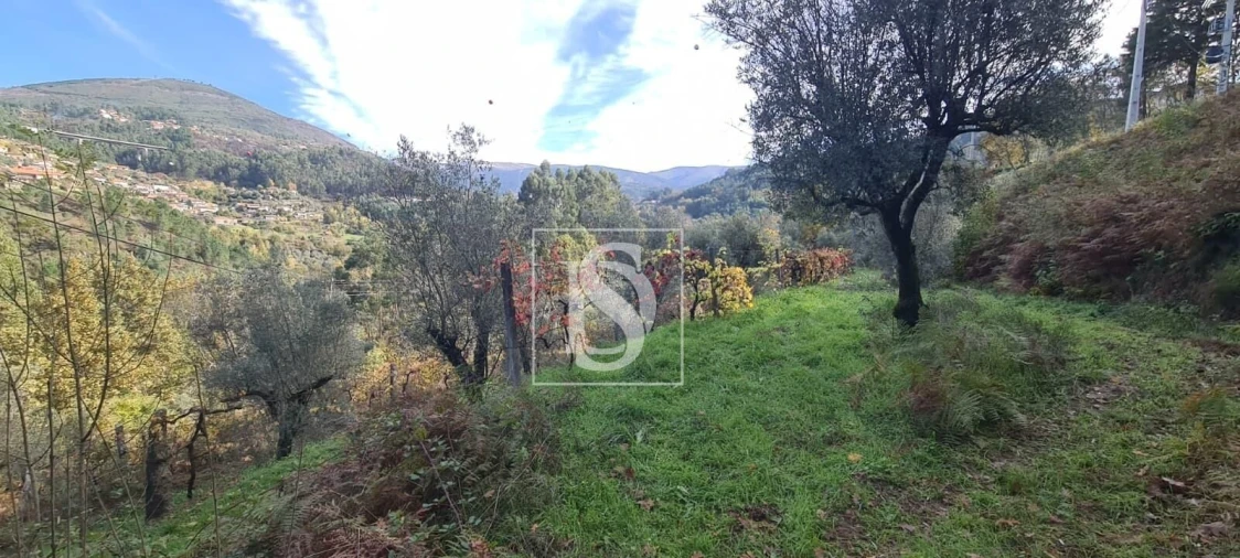 Terreno para Venda em Candemil Foto 8