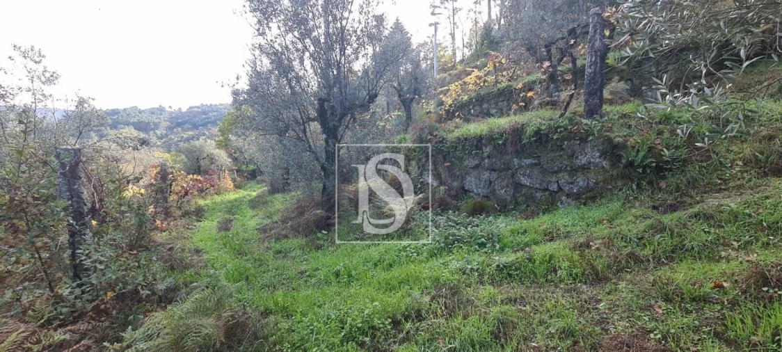 Terreno para Venda em Candemil Foto 14