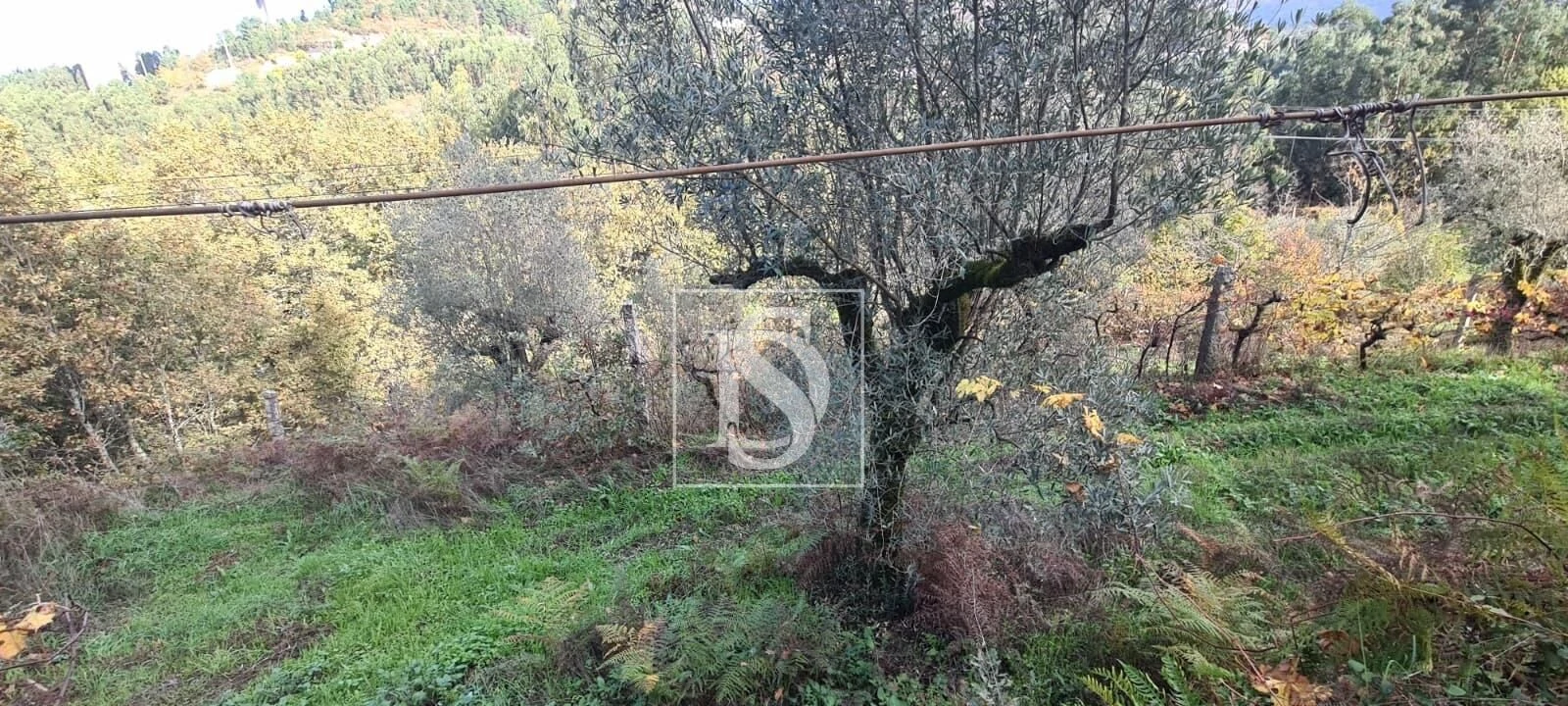 Terreno para Venda em Candemil Foto 18