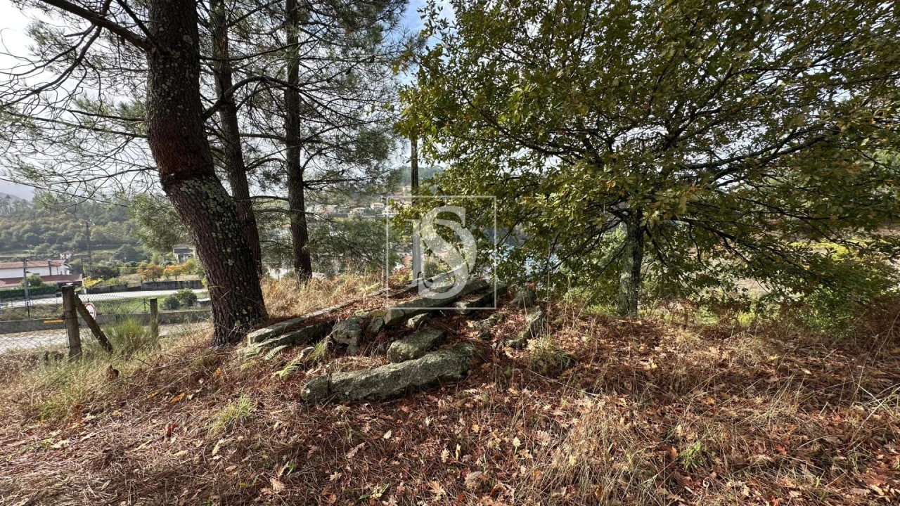 Terreno para Venda em Padronelo Foto 11