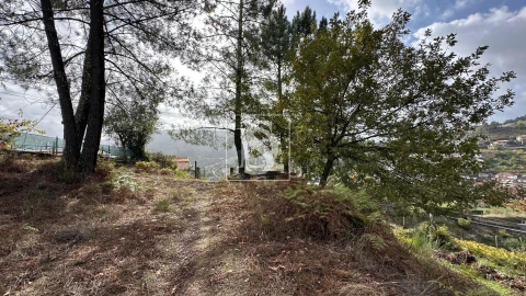 Terreno para Venda em Padronelo