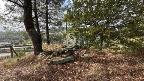 Terreno para Venda em Padronelo