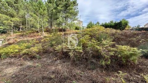 Terreno para Venda em Padronelo