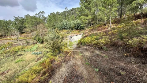 Terreno para Venda em Padronelo