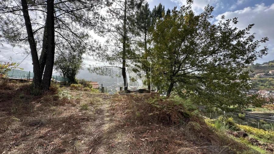 Terreno para Venda em Padronelo Foto 12