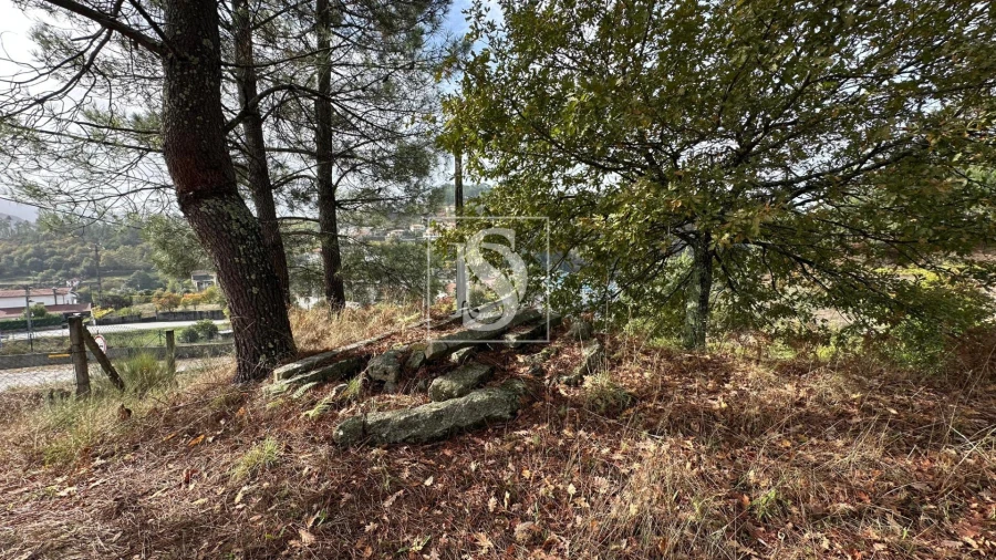 Terreno para Venda em Padronelo Foto 11