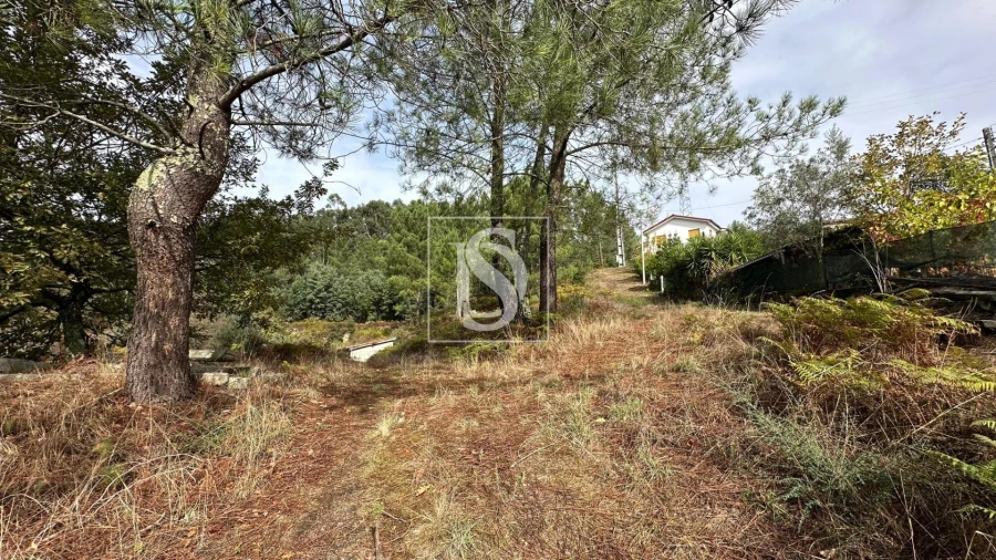 Terreno para Venda em Padronelo Foto 13