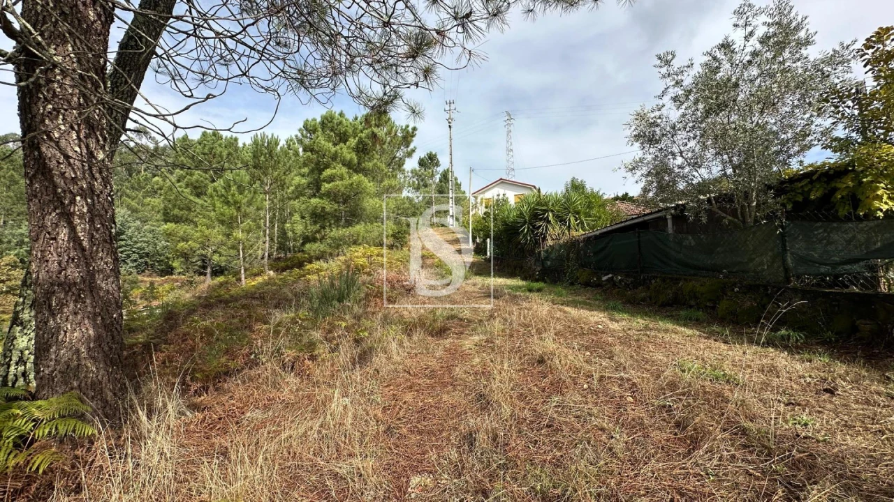 Terreno para Venda em Padronelo Foto 10