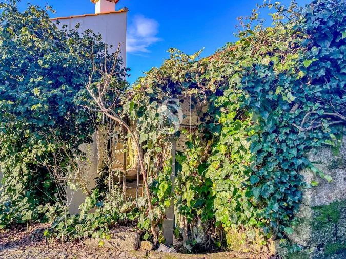 Moradia T3 para Venda em Amarante (São Gonçalo), Madalena, Cepelos e Gatão Foto 38