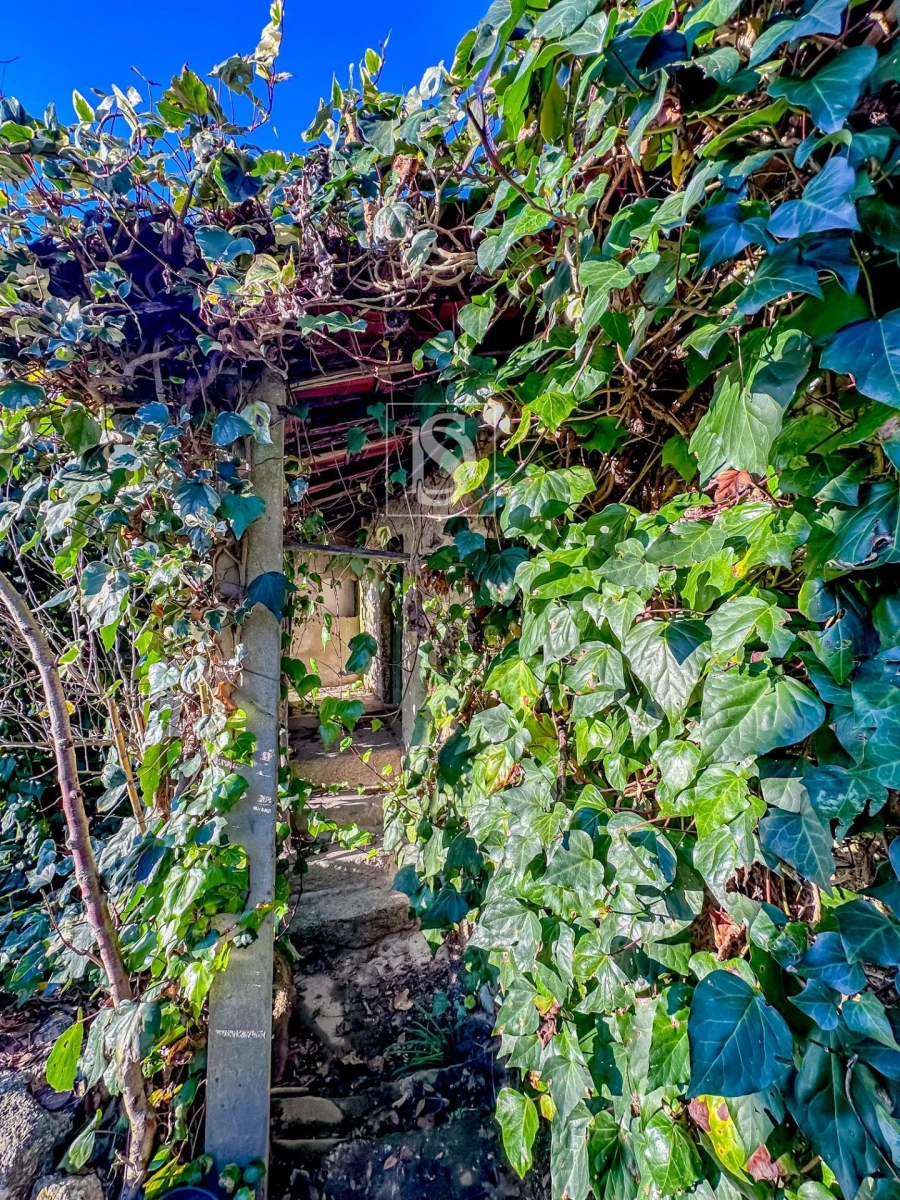 Moradia T3 para Venda em Amarante (São Gonçalo), Madalena, Cepelos e Gatão Foto 50