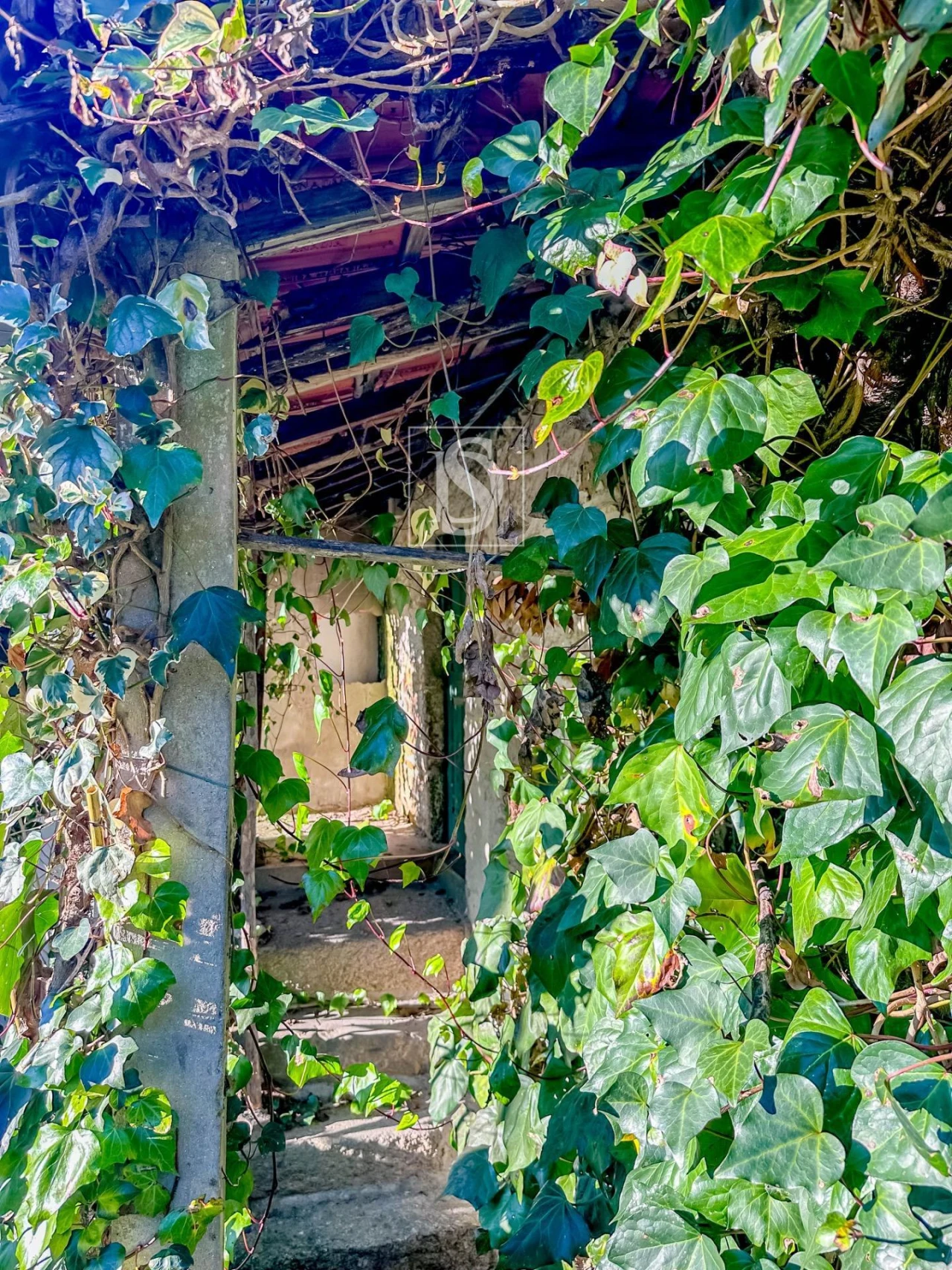 Moradia T3 para Venda em Amarante (São Gonçalo), Madalena, Cepelos e Gatão Foto 52