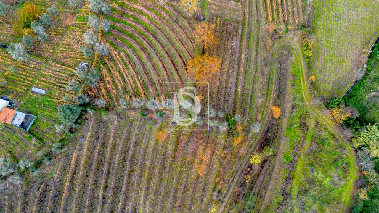 Terreno para Venda em Cambres Foto 8