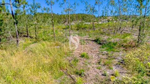 Terreno para Venda em Fregim