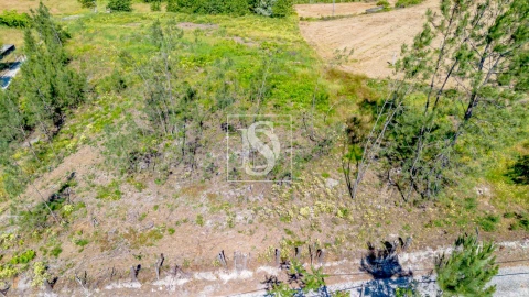 Terreno para Venda em Fregim