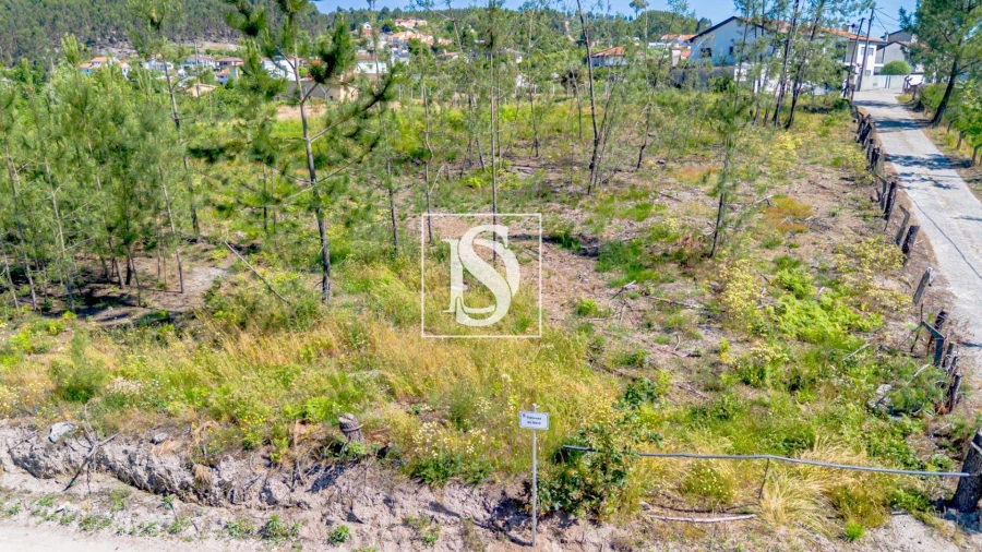 Terreno para Venda em Fregim Foto 20