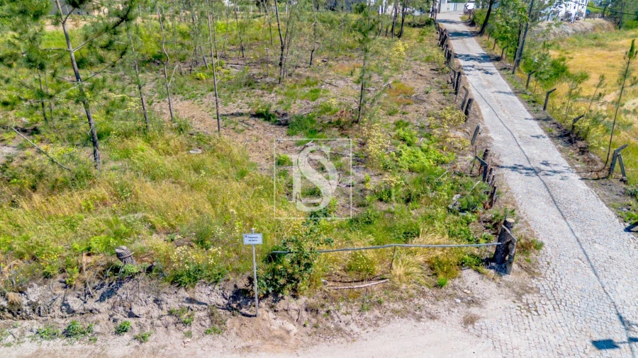 Terreno para Venda em Fregim Foto 10