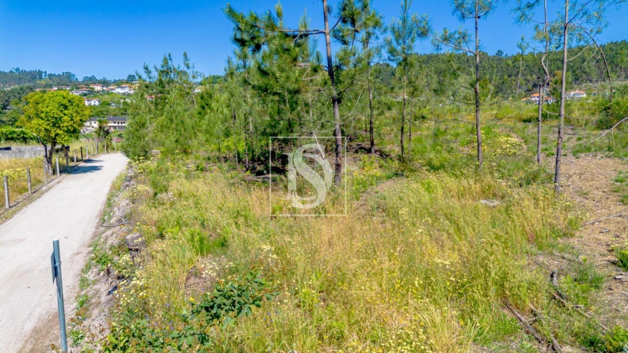 Terreno para Venda em Fregim Foto 8